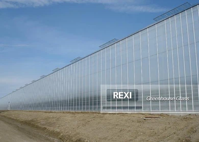 Vidrio de invernadero